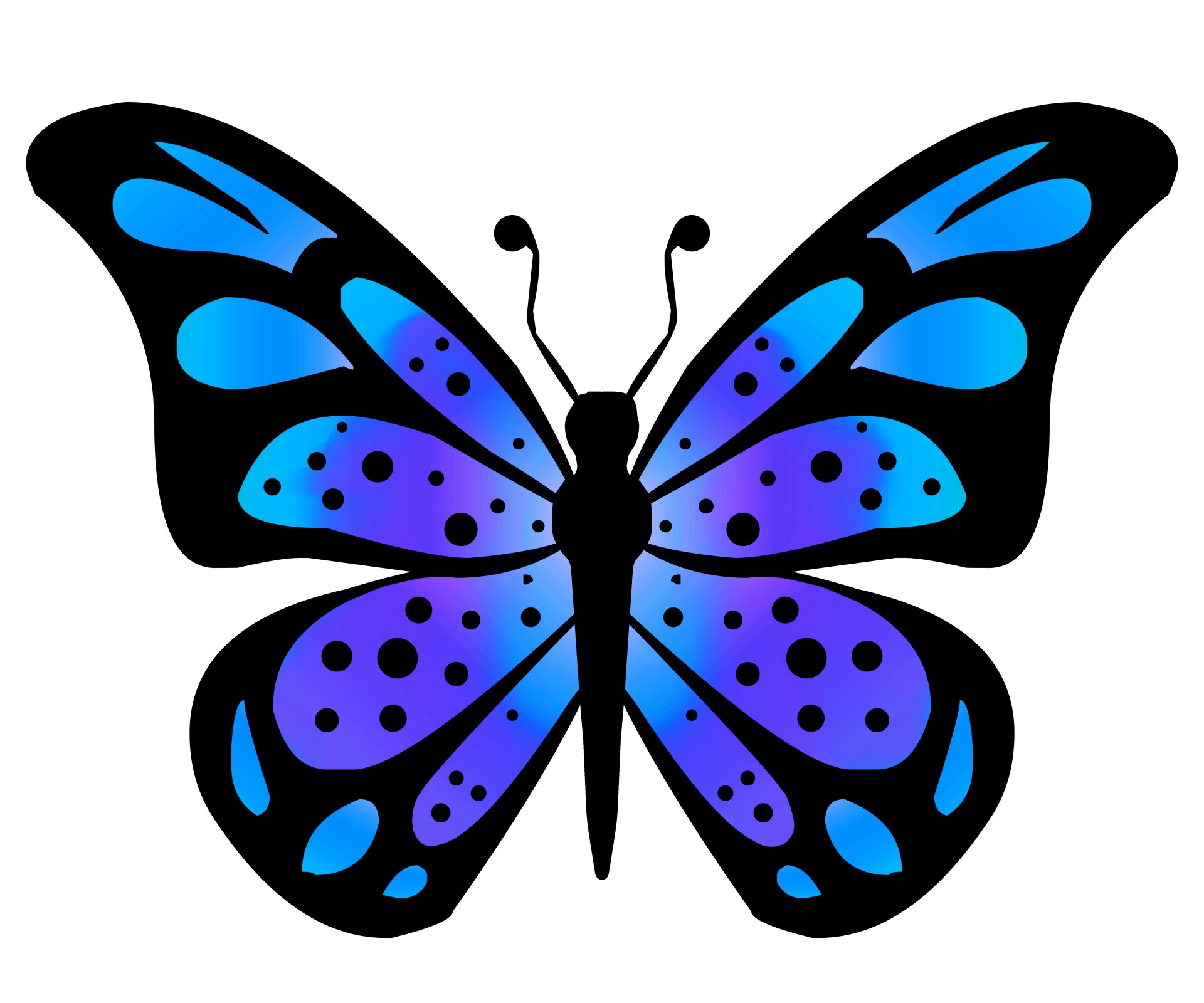 Butterfly pictures clipart