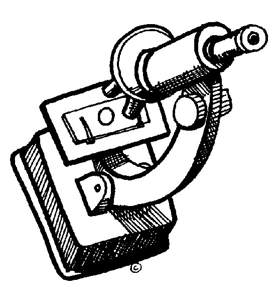 Picture Of Microscope | Free Download Clip Art | Free Clip Art ...