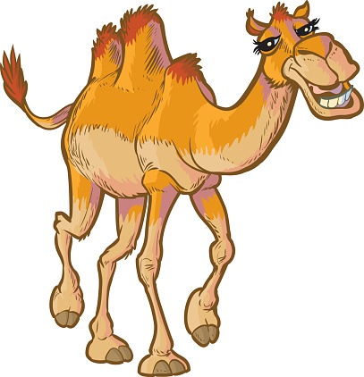 Camel Clip Art, Vector Images & Illustrations