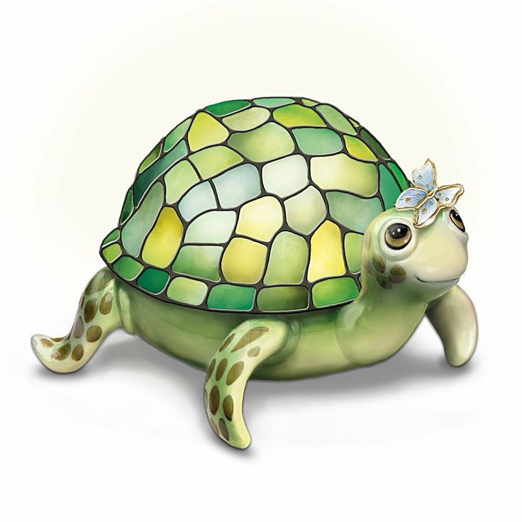 1000+ images about Turtle