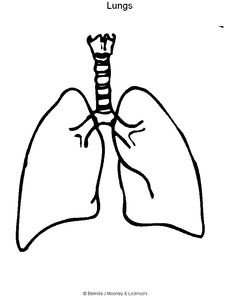 Lungs, Coloring worksheets and Coloring