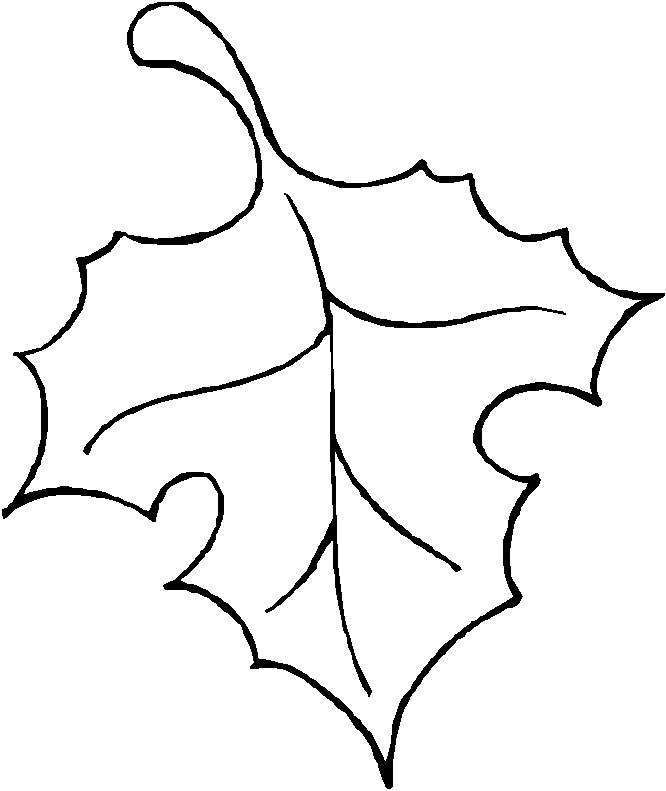 Fall leaves outline clipart