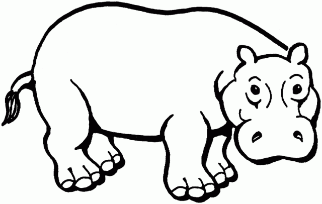 Drawing Of Hippo - ClipArt Best