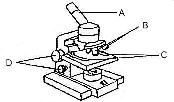 19+ Microscope Parts Clipart