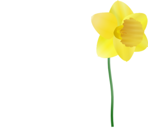 Single Plucked Daffodil Clip Art - vector clip art ...