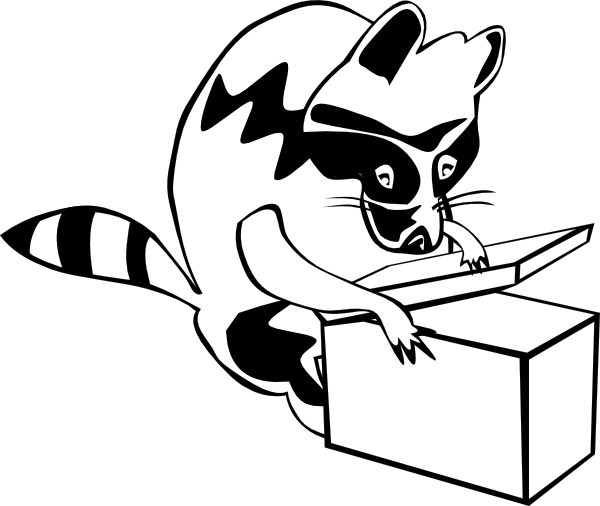 Raccoon Opening Box clip art Free Vector