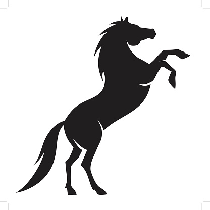 Stallion horse clipart