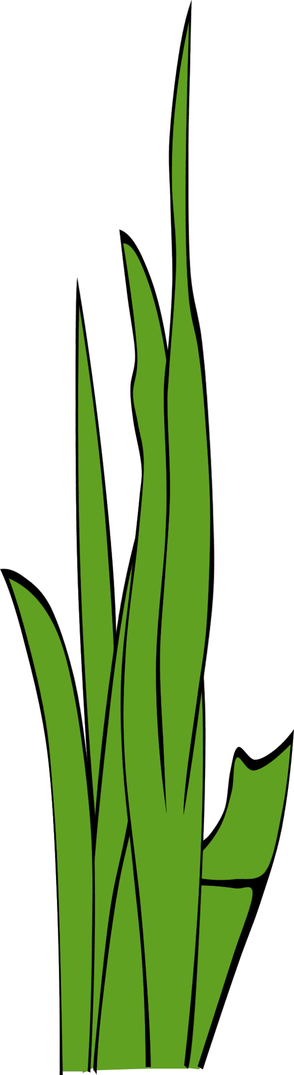 Grass blade clipart