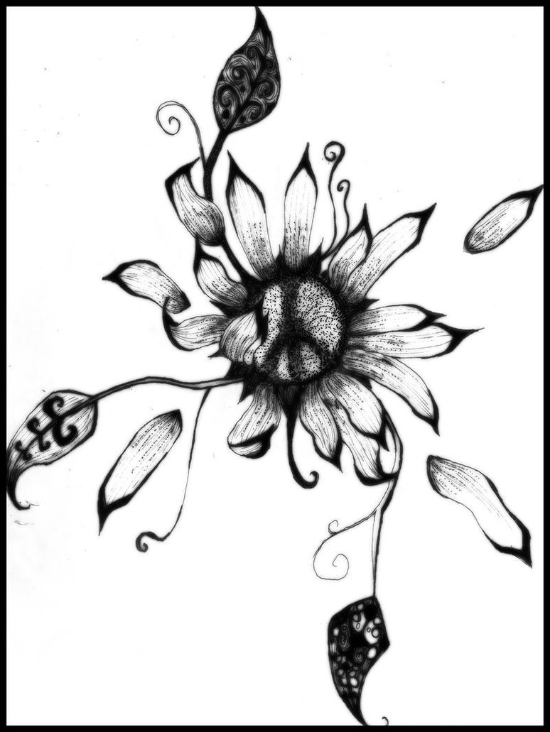 Sunflower Drawings - ClipArt Best