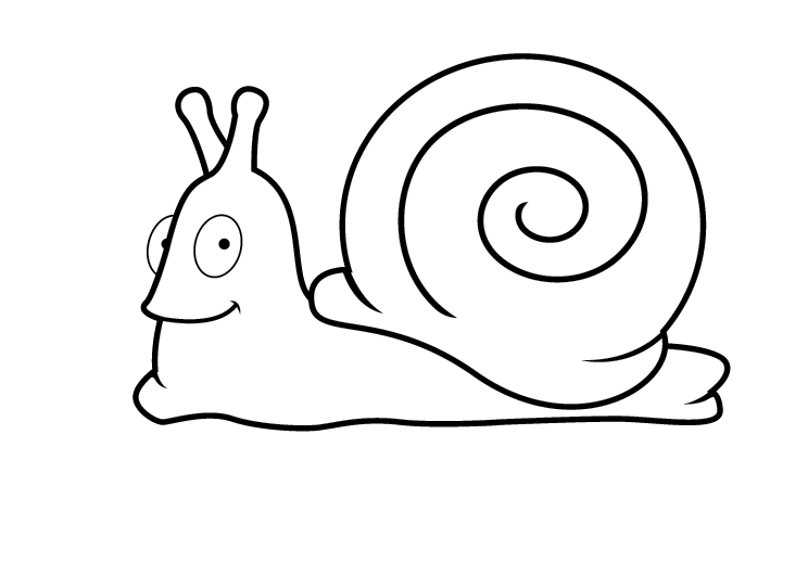 Cartoon Snail Pictures