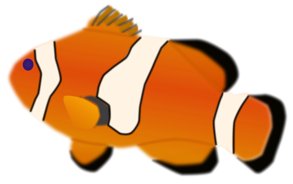 Colour fish clipart without background