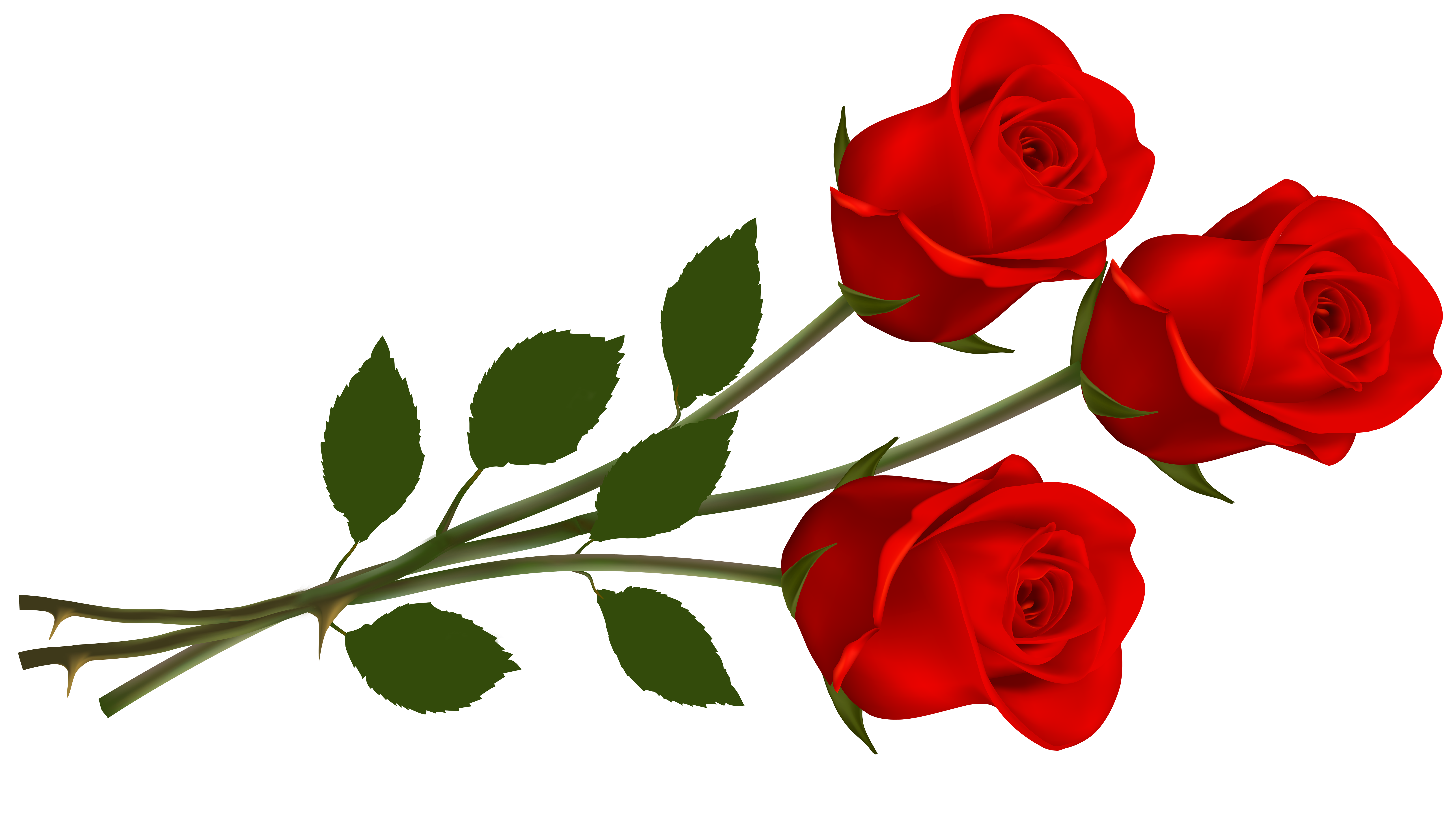 Rose clipart png