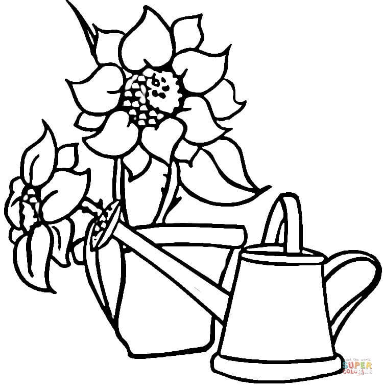 Watering Can and Sunflowers coloring page | Free Printable ...