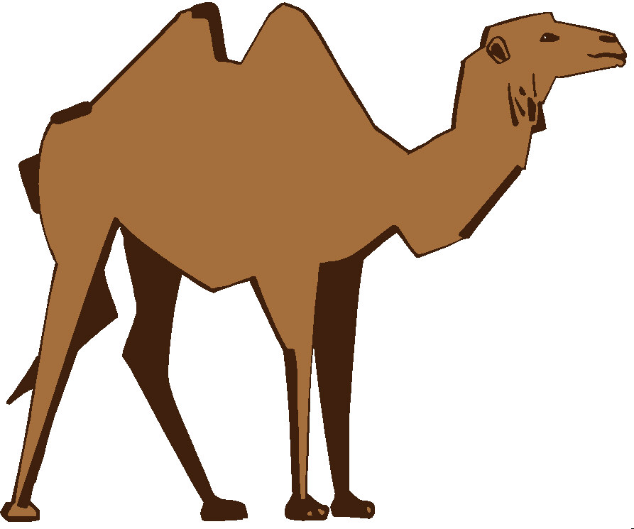 Animated camel clipart