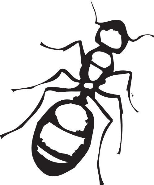 Sketch Of An Ant Clip Art - vector clip art online ...