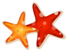 To starfish orange red clip clipart free clip art images image #9460