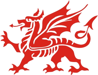 Welsh Dragon Vinyl Sticker - Â£1.92 : Vinyl Stickers Direct