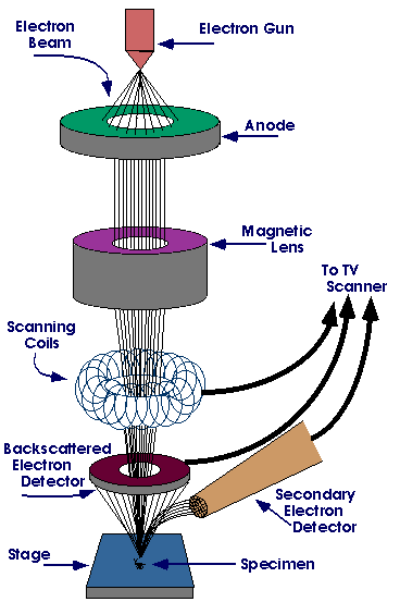 Microscopy