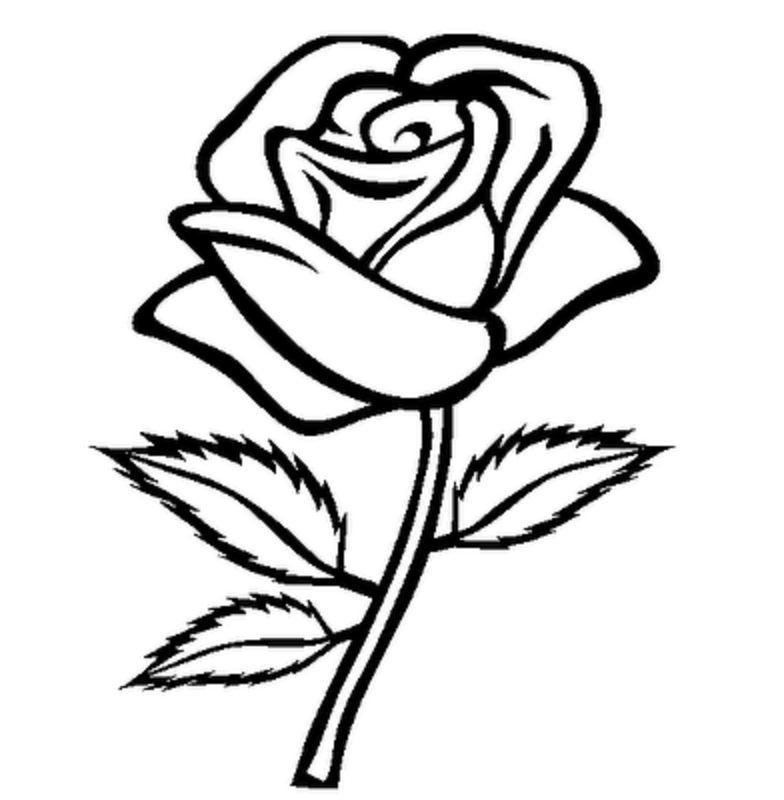 Rose Template Printable ClipArt Best