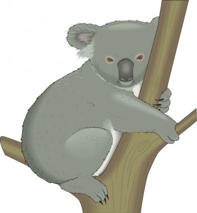 Koala Vector clip art - Free vector for free download