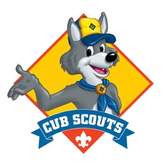 Cub Scout Ideas