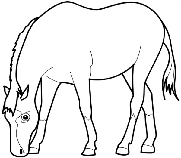 Horse Eating Grass coloring page | Super Coloring - ClipArt Best ...