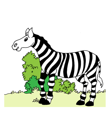 Zebras Coloring Pages for Kids to Color and Print