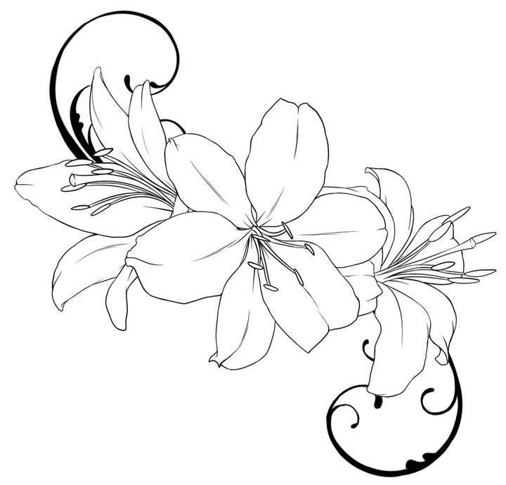 Beautiful Flower Coloring Pages With Delicate Forms Of Natural ...