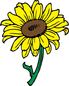 Sunflower Clip Art - vector clip art online, royalty ...