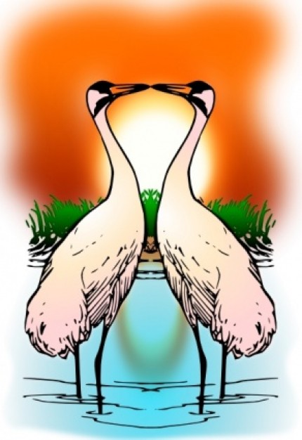 Valessiobrito Two Love Whooping Crane clip art | Download free Vector