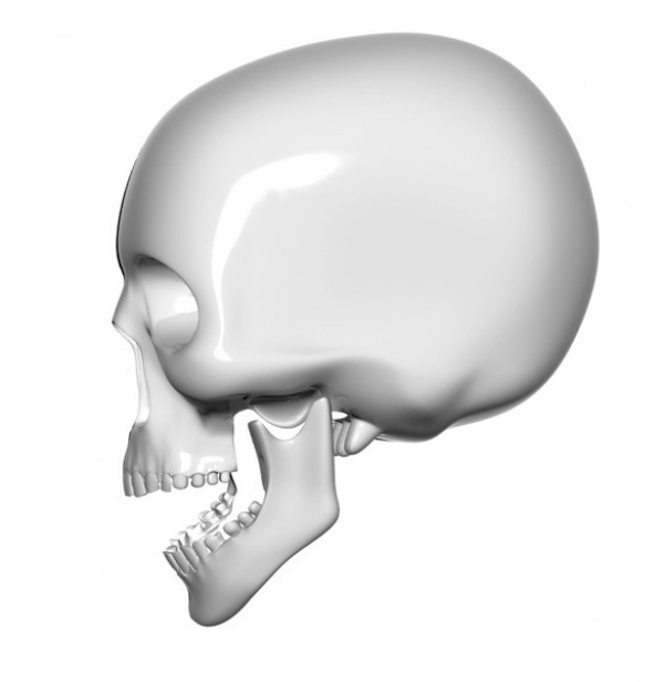 XOO Plate :: Side View Human Skull Icon PSD