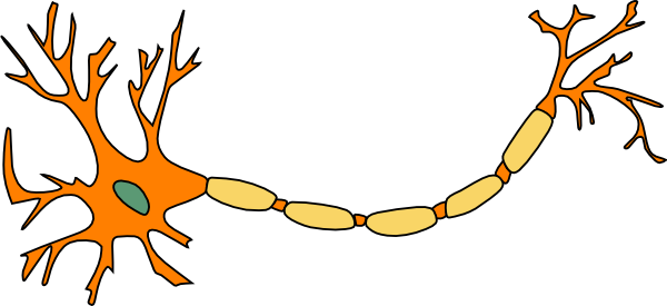 Neuron Orange Clip Art - vector clip art online ...