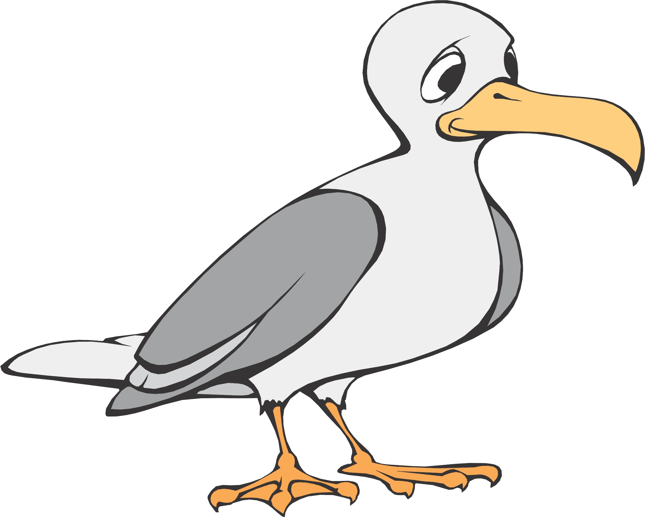 Seagull Clipart