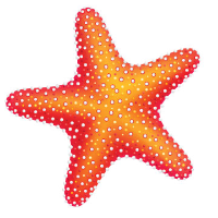 Starfish Signs and Graphics | LinkedIn