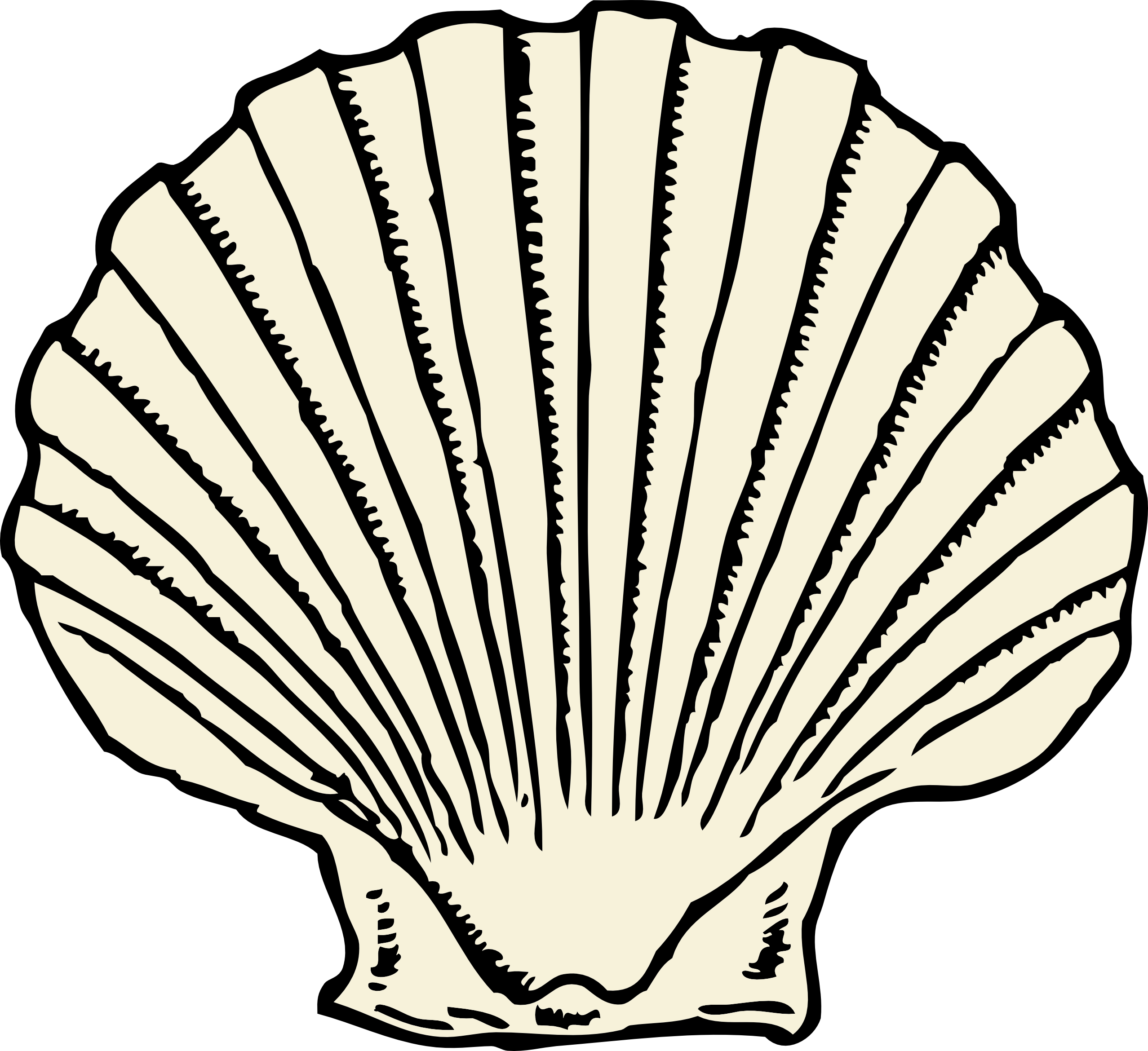 Shells Colouring - ClipArt Best