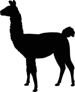 Pix For > Llama Silhouette Png