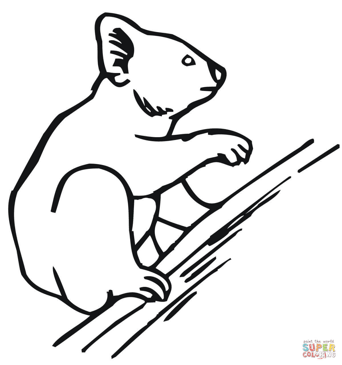 Dibujos de Koalas para colorear - PÃ¡ginas para imprimir y colorear ...