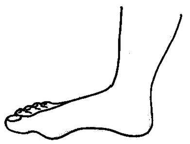 Foot Clip Art Black and White – Clipart Free Download
