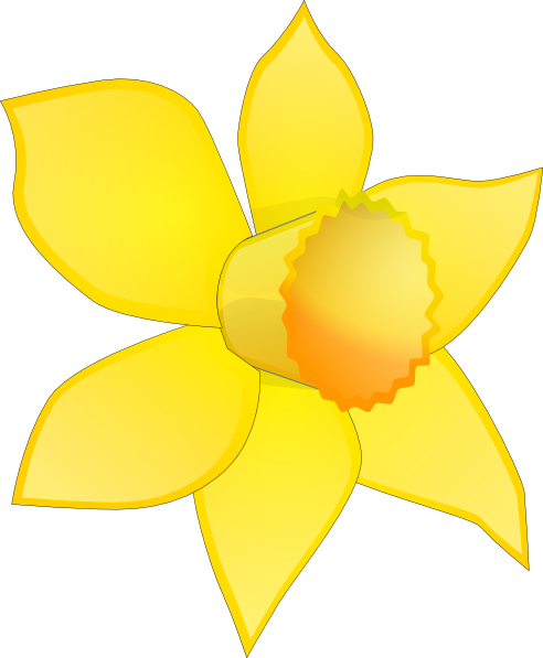 Cartoon Daffodils