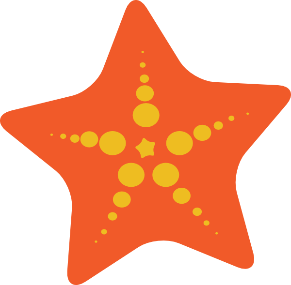 orange sea star