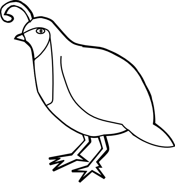 Quail Clipart