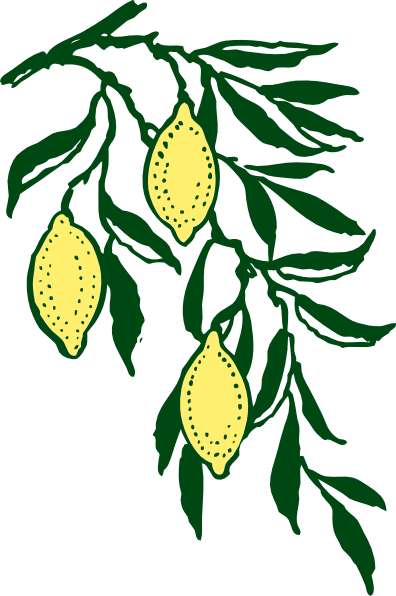 Lemon Tree Clipart