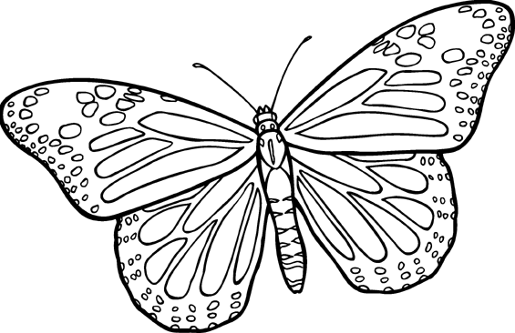Image Of A Butterfly | Free Download Clip Art | Free Clip Art | on ...