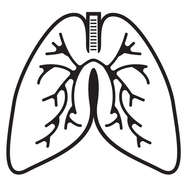 Lungs cliparts