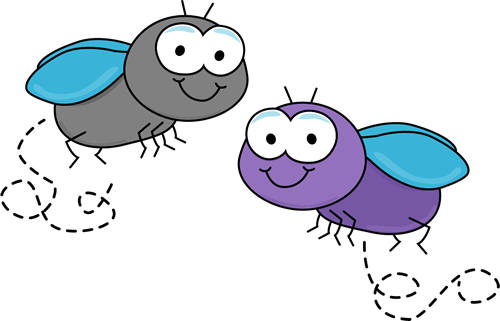 Flies Clipart