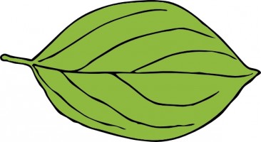 Leaf free leaves clipart free clipart graphics images and photos 2 ...