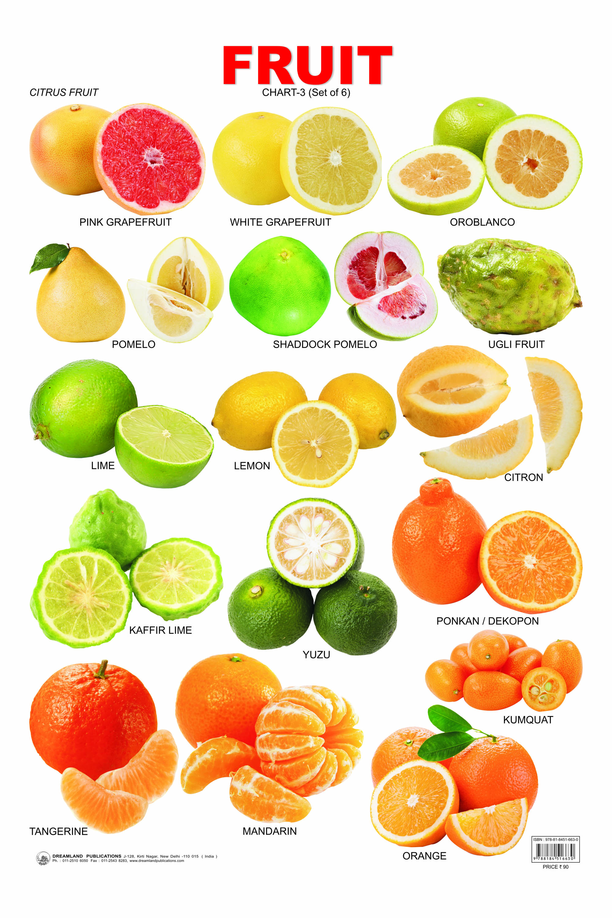 e-b-design-fruit-clipart-best