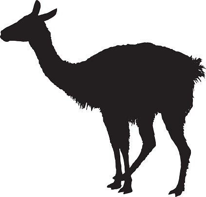 Silhouette Of A Alpaca Clip Art, Vector Images & Illustrations ...