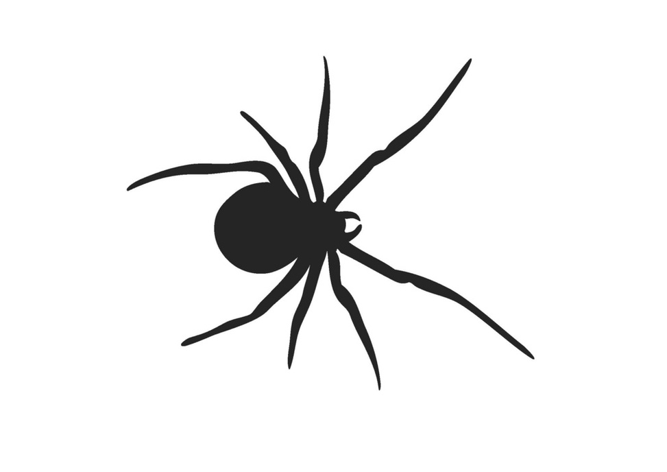 Black Widow Drawings Clipart - Free to use Clip Art Resource