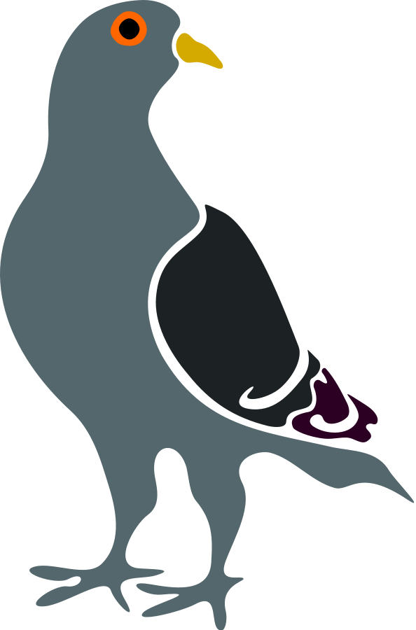 Pigeon Clip Art Images - Free Clipart Images